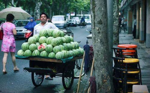 吃瓜群卖瓜,揭秘网络社交的甜蜜陷阱