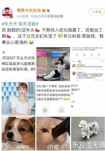 营销号吃大瓜,营销号吃大瓜，明星幕后故事大曝光！