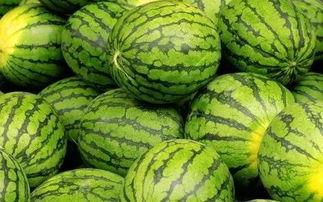 吃几个大瓜,揭秘那些令人瞠目结舌的大瓜事件