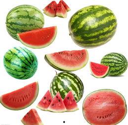 南水吃瓜,揭秘网络热词背后的文化现象