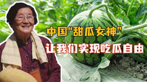 吃瓜自由人,揭秘网络时代的全民娱乐现象