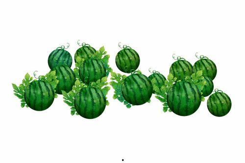 阿洪吃瓜,揭秘娱乐圈的甜蜜与苦涩