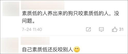 吃瓜视频表达自己,吃瓜群众视角下的明星幕后故事