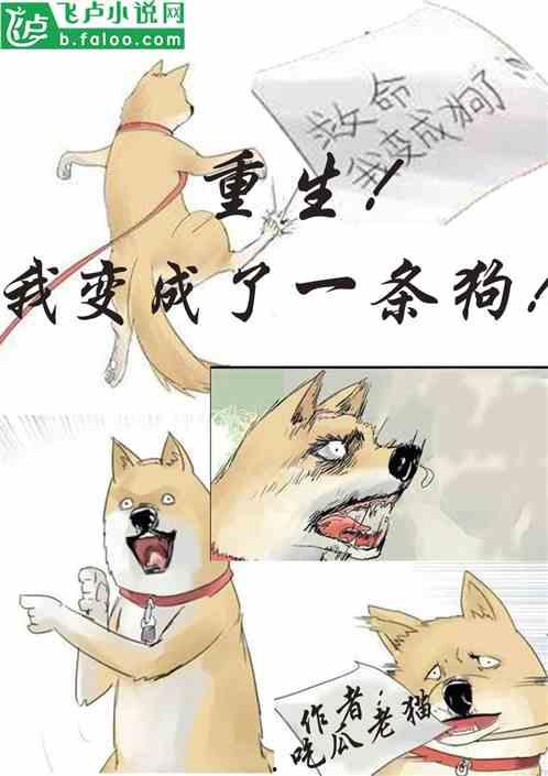 吃瓜打赌小说免费阅读,揭秘吃瓜群众的免费阅读冒险之旅