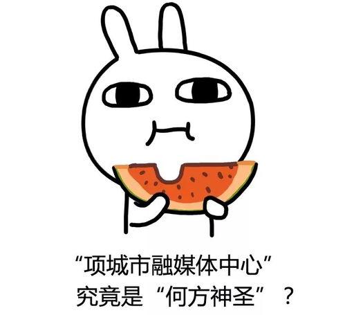 直率吃瓜,揭秘娱乐圈背后的真实故事