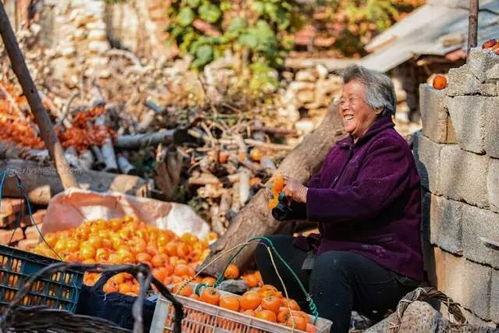 沂南吃瓜事件,一场网络热议背后的真相与反思