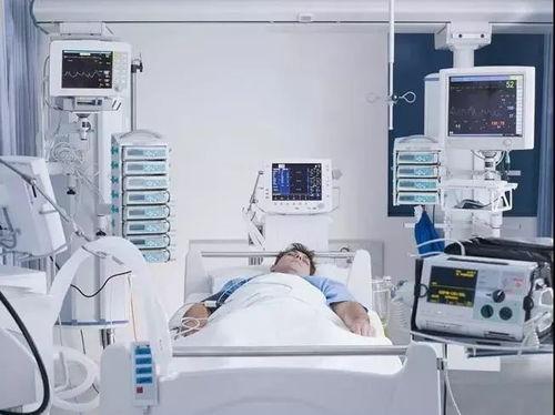 吃哈密瓜住icu,哈密瓜诱惑下的ICU奇遇记