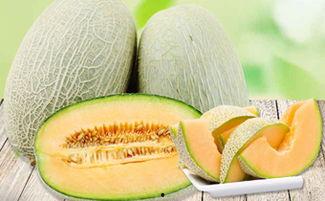 吃哈密瓜生的会痒吗,哈密瓜生食引发皮肤瘙痒现象揭秘