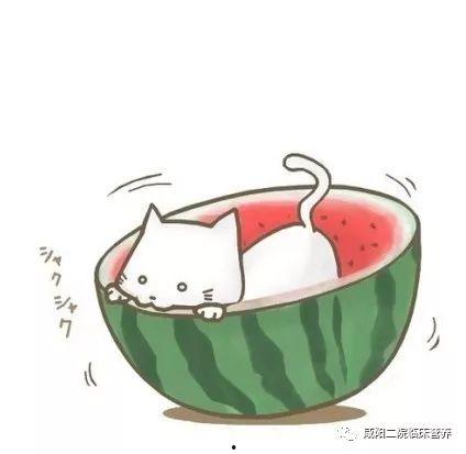 腾讯吃瓜头像,揭秘网络社交新潮流