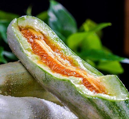 吃瓜必看品种图鉴,吃瓜品种图鉴大盘点