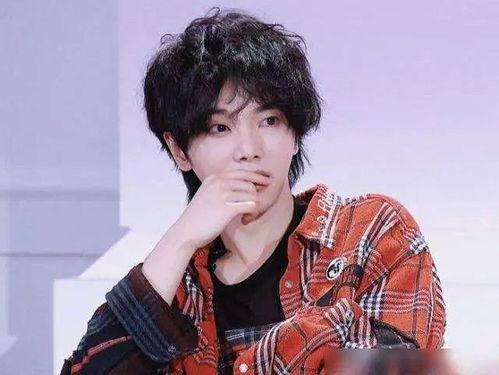 华晨宇粉丝吃瓜,娱乐圈背后的那些“瓜”