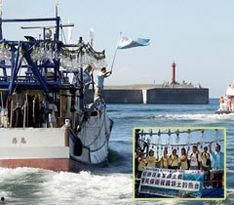 台湾附近的吃瓜船,揭秘“吃瓜船”的神秘面纱