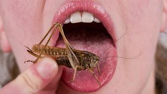 大虫子火爆吃瓜,揭秘网络热点的背后故事