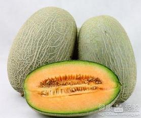 在瓜洲吃哈密瓜,舌尖上的甜蜜之旅