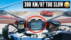 兰博最新吃瓜,揭秘娱乐圈最新热点事件