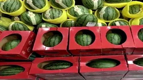 吃瓜好运,揭秘瓜界奇闻，探寻幸福生活秘诀