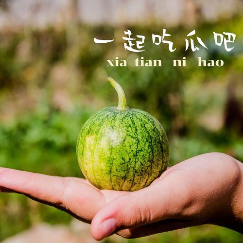 专业吃瓜中,揭秘娱乐圈的真相与内幕