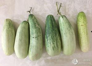 自己瓜自己吃,践行“自己瓜自己吃”的生活哲学