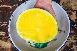 江阴人吃瓜,探寻地方特色美食的魅力